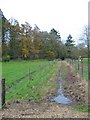 Bridleway Sandleheath Hampshire