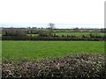 Lenadremnagh Townland