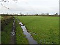 Back Lower Townland