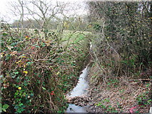 SE5411 : Abbess Dike, looking from Common Lane towards Squirrel Wood by Bill Henderson