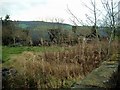 Farm ruins at Dalwhatswood