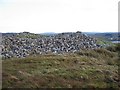 Chambered cairn at Feorlig