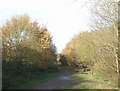 SO8694 : Kingswinford Railway Walk by John M