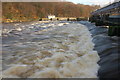 Floodgates, River Bann near Coleraine (2)