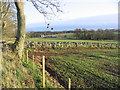 Farmland at Graden