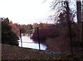 Looking Along the Lake