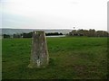 Triangulation pillar on Fetch Hill