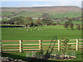 A View To Melmerby Moor