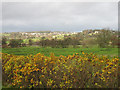 Looking Towards Leyburn