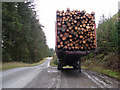 Timber Harvest