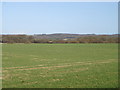 Farmland near Dean looking north