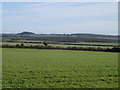 Chapel Down Farm downland