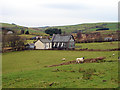 Chapel At Staylittle