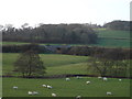 Railway Bridge on Share Lane