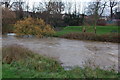 The River Bann at Banbridge (3)