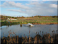 Fish farm in Hensting Lane