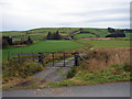 Farmland near Llwynygog