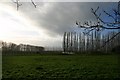 Paddocks at County Farm