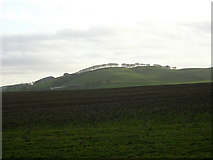 NY0183 : Barrs Hill From Dalruscan by Iain Thompson