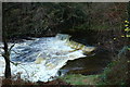 Tranew Linn, River Girvan