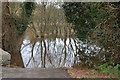 Flooded path by the River Quoile (2)