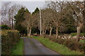 The Lisboy Road near Downpatrick (2)