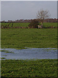 SU4590 : Farmland, Steventon by Andrew Smith