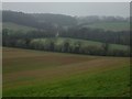 Below Brockham Hill