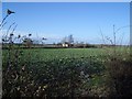 The Pastures Farm near Yardley Hastings