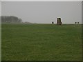 Triangulation pillar on Withington Hill