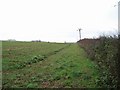 Field near Compton Hill Barn