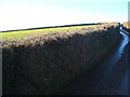 Lane above West Ford Farm