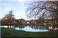 Village pond on the green at Nun Monkton