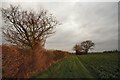 Footpath to Drinkstone Green