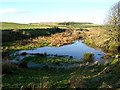 Pond Near Maintree