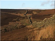 SE0766 : Drystone Wall on Reaps. by Steve Partridge