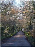 SX7593 : Lane to Southcombe Cross by Derek Harper