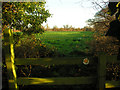 View from footbridge across stile in fields south of Crickheath