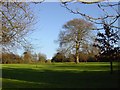 Withdean Park, looking east from the bottom