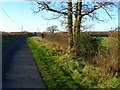 A lane just outside Boughton Monchelsea