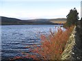 Catcleugh Reservoir