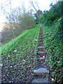 Steps to Undercliff House