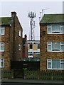 Mobile Phone Mast