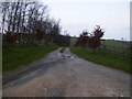 Track to Low Warren Farm