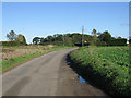 The Road From Letton Green