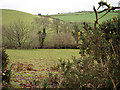 Farmland at Llanerch-yr-oen