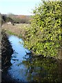 River Avon upstream by Breamore Mill