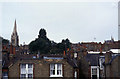 View of Muswell Hill