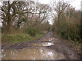 Fosse Way west of Malmesbury