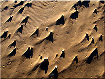 NK0124 : Patterns on the beach east of Newburgh by Martyn Gorman